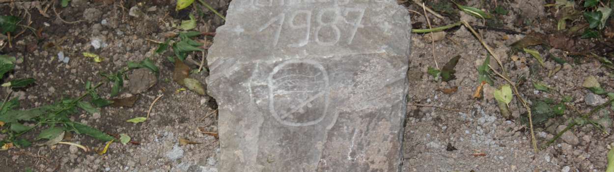 Galeriebild 0 Galeriebild 0